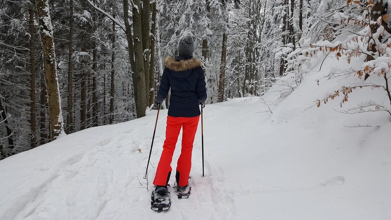 Excursión raquetas de nieve