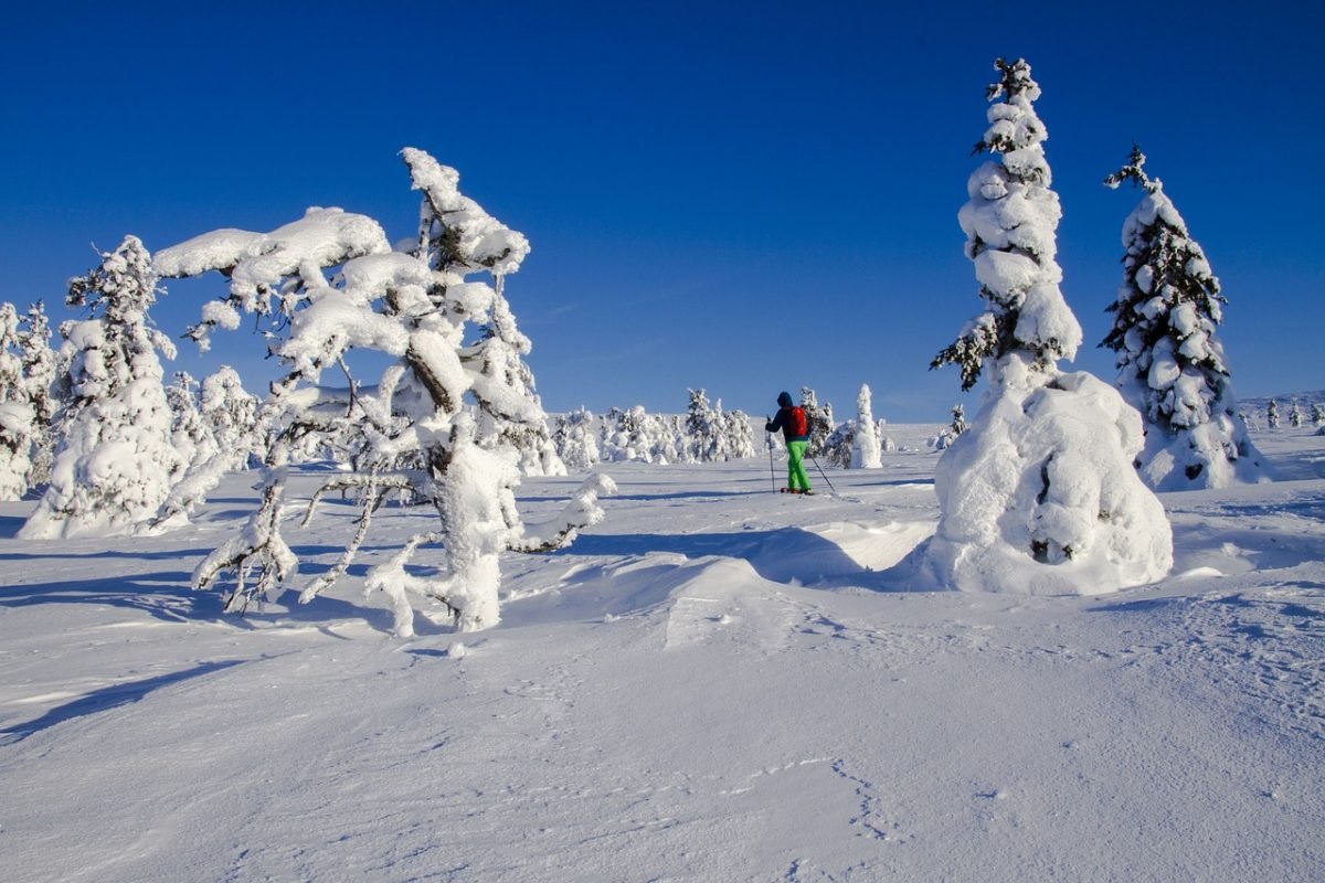 Raquetas para nieve