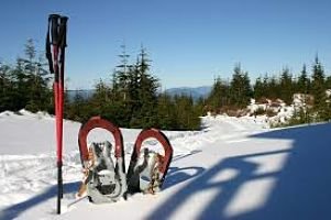 Raquetas para nieve